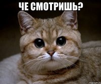 че смотришь? 