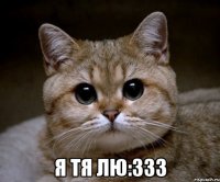  я тя лю:333