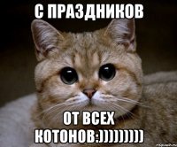 с праздников от всех котонов:)))))))))