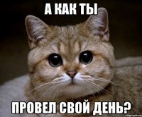 а как ты провел свой день?