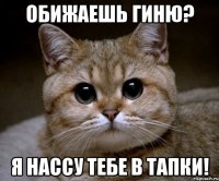 обижаешь гиню? я нассу тебе в тапки!