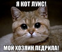 я кот луис! мой хозяин педрила!