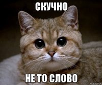 скучно не то слово