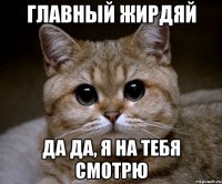 главный жирдяй да да, я на тебя смотрю