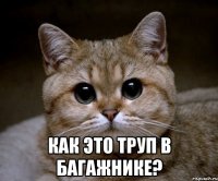  как это труп в багажнике?