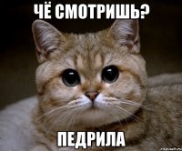 чё смотришь? педрила