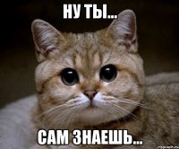 ну ты... сам знаешь...