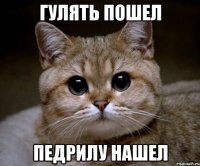 гулять пошел педрилу нашел