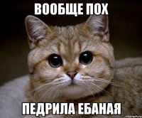 вообще пох педрила ебаная