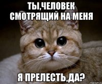 ты,человек смотрящий на меня я прелесть,да?