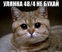 улянка 48/4 не бухай 