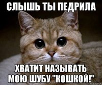 слышь ты педрила хватит называть мою шубу "кошкой!"