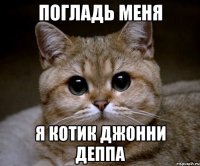 погладь меня я котик джонни деппа