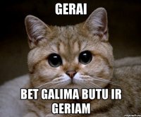 gerai bet galima butu ir geriam