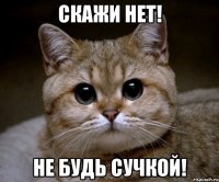 скажи нет! не будь сучкой!