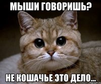 мыши говоришь? не кошачье это дело...