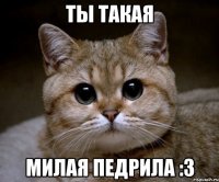 ты такая милая педрила :3