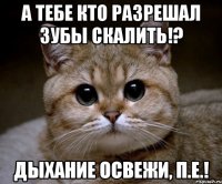 а тебе кто разрешал зубы скалить!? дыхание освежи, п.е.!