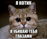 я котик я убиваю тебя глазами