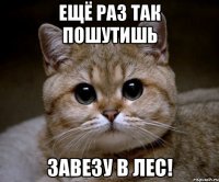 ещё раз так пошутишь завезу в лес!