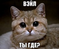 вэйл ты где?