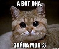 а вот она, зайка моя :3