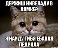 держиш нивеладу в лямке? я найду тибя ебаная педрила