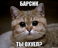 барсик ты охуел?