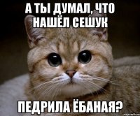 а ты думал, что нашёл сешук педрила ёбаная?