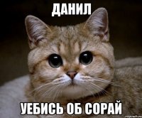 данил уебись об сорай