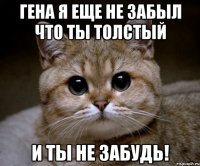 гена я еще не забыл что ты толстый и ты не забудь!