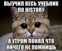 выучил весь учебник по history а утром понял что ничего не помнишь