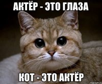 актёр - это глаза кот - это актёр