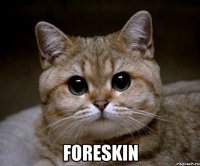  foreskin