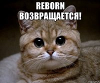 reborn возвращается! 