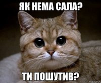 як нема сала? ти пошутив?