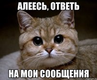 алеесь, ответь на мои сообщения