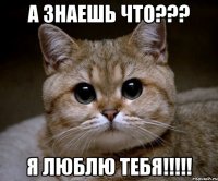 а знаешь что??? я люблю тебя!!!