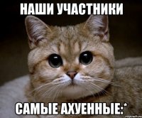 наши участники самые ахуенные:*