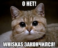 о нет! whiskas закончился!