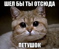 шел бы ты отсюда петушок