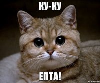 ку-ку епта!