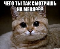 чего ты так смотришь на меня??? 