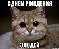 сднем рождения злодей