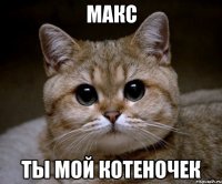 макс ты мой котеночек