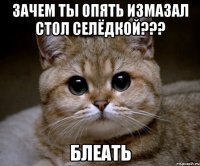 зачем ты опять измазал стол селёдкой??? блеать