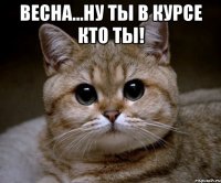 весна...ну ты в курсе кто ты! 