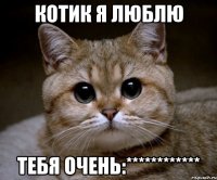 котик я люблю тебя очень:************