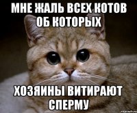 мне жаль всех котов об которых хозяины витирают сперму