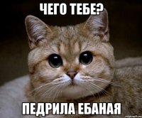 чего тебе? педрила ебаная